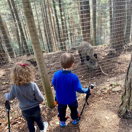 Сasa de vacaciones Casa Miradell *