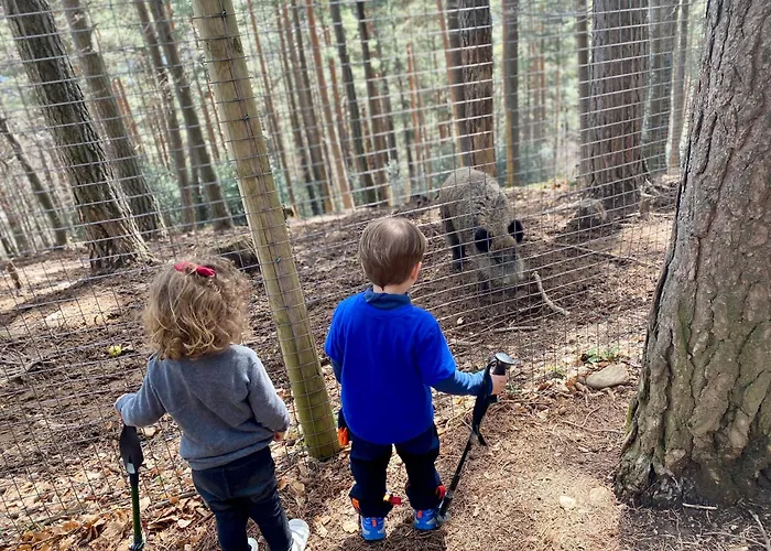 Сasa de vacaciones Casa Miradell *